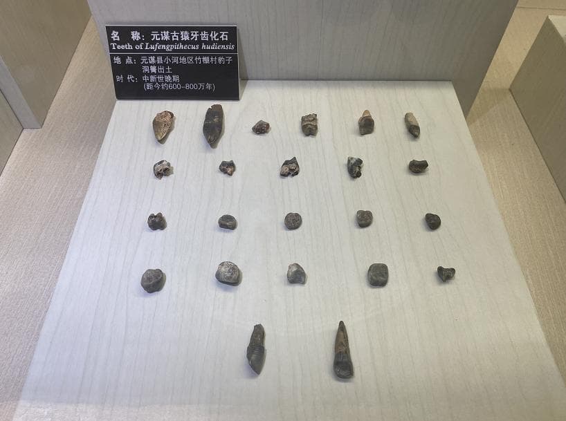 元谋人遗址照片1