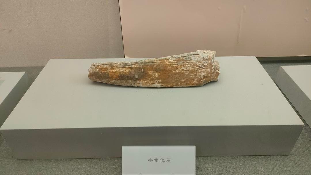 西侯度遗址照片2