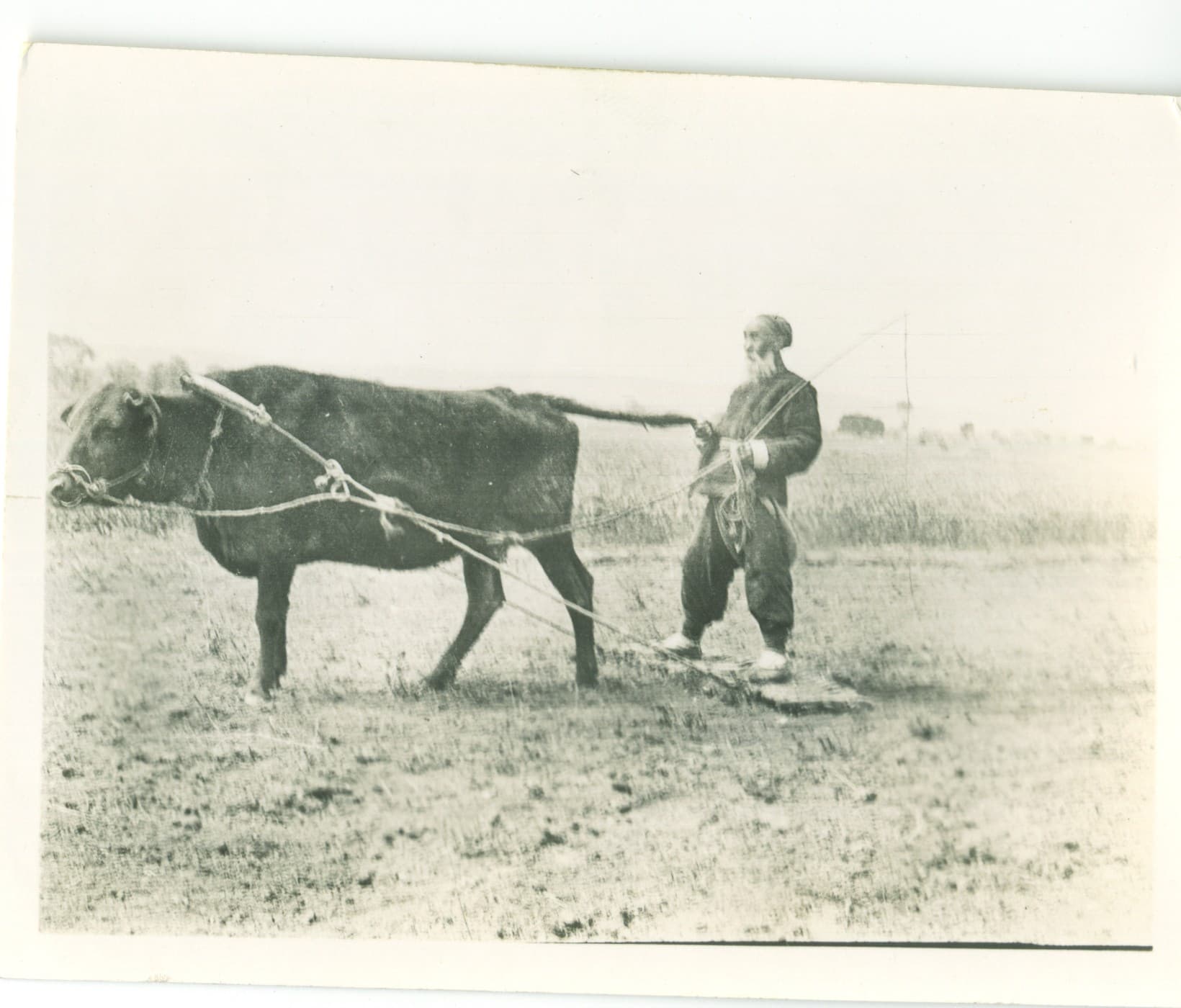 1908年清朝末年农民的生活