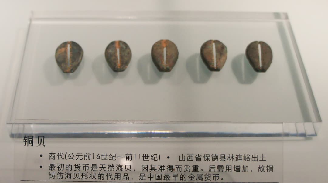 山西出土的商朝贝形古钱